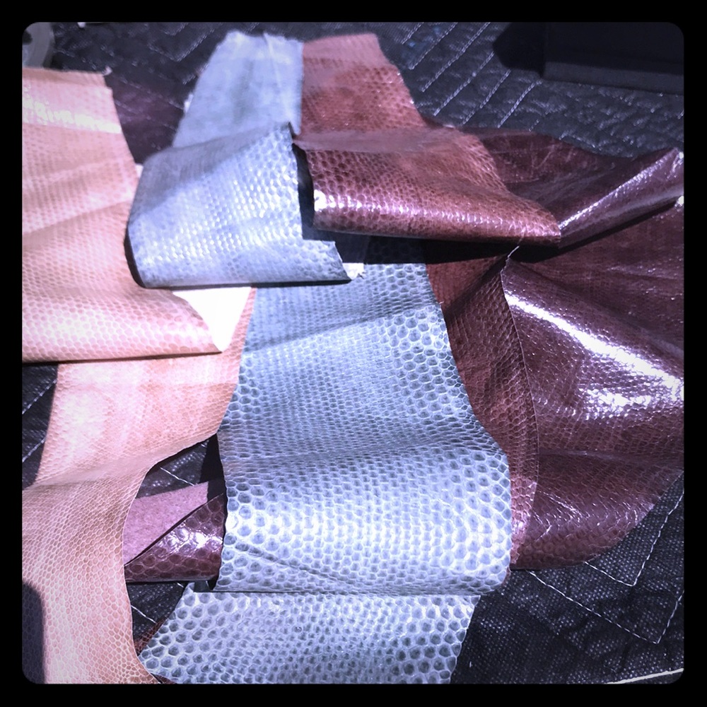 Real snake skin